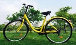 疯狂自行车最新皮肤爆料,全新皮肤惊艳亮相，炫酷造型引期待！